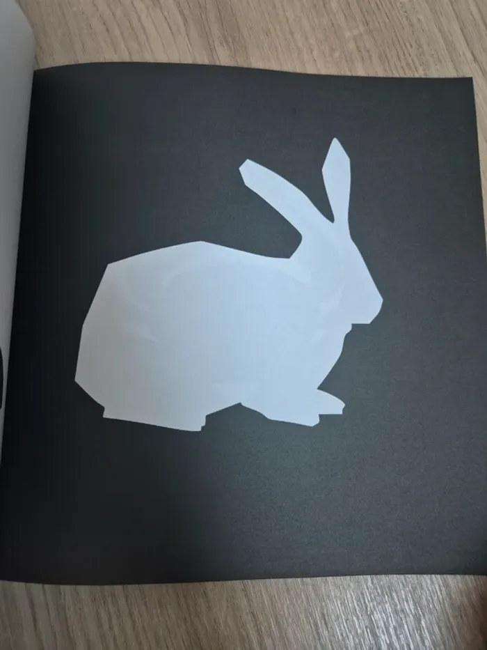 Livre contraste bébé - photo numéro 3