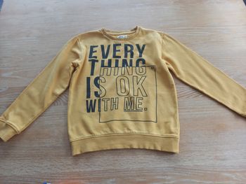 Sweat Gemo garçon 12 ans - Excellent état