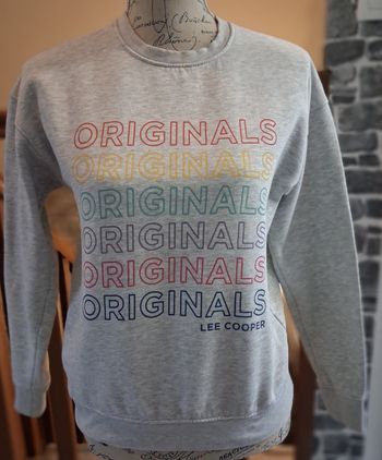 Pull molletonné gris clair