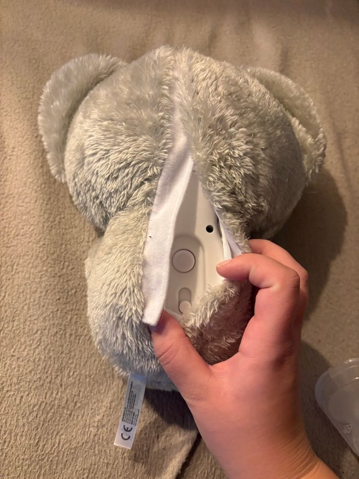 Koala Cali dodo - photo numéro 4