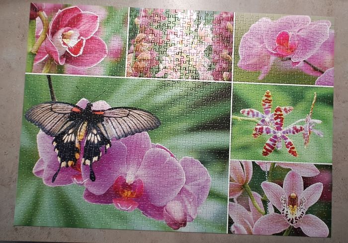 Puzzle 1 000 pièces - photo numéro 3