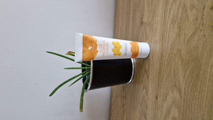 Aloe Propolis Crème Forever