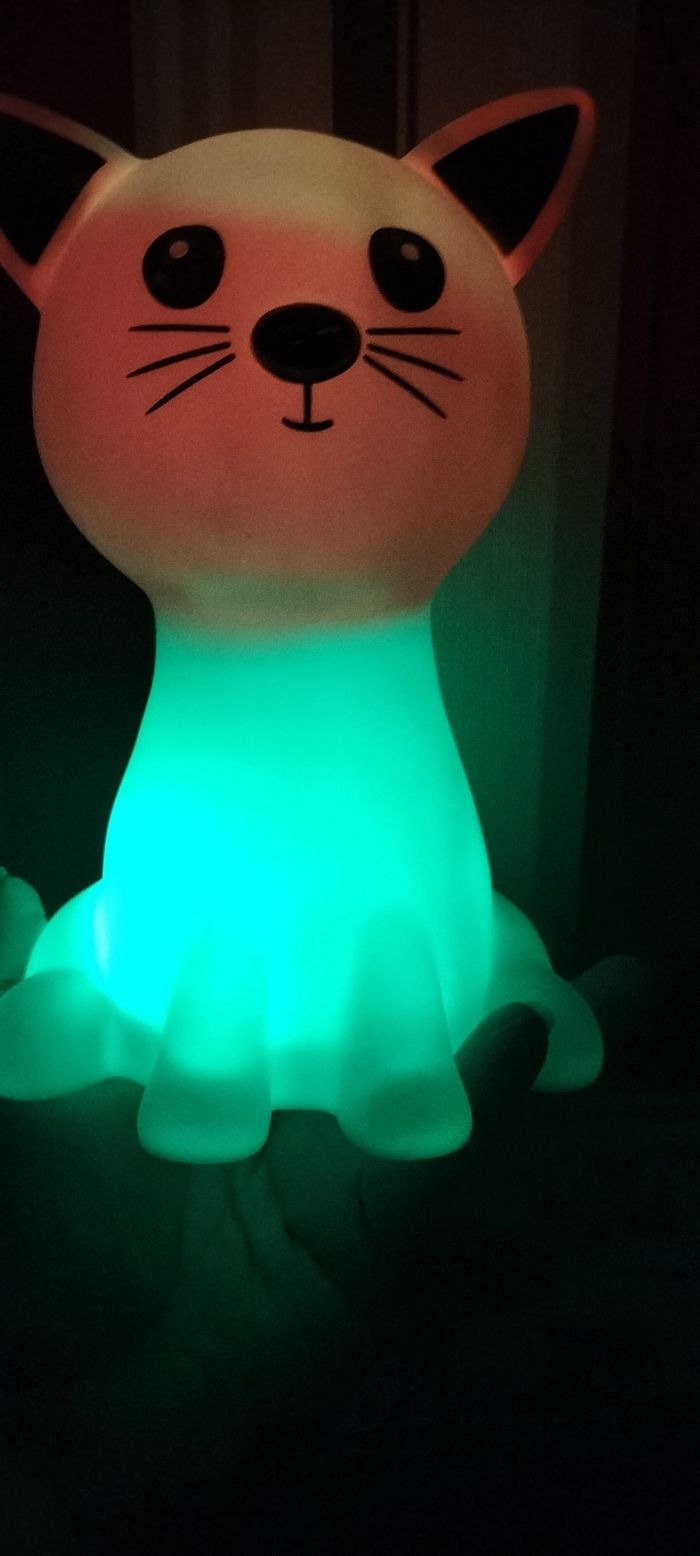 Chat veilleuse lumineux - photo numéro 4