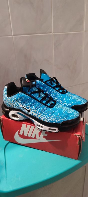 Nike Air Max TN bleu taille 44