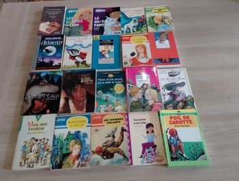 Lot de 20 livres divers (7)