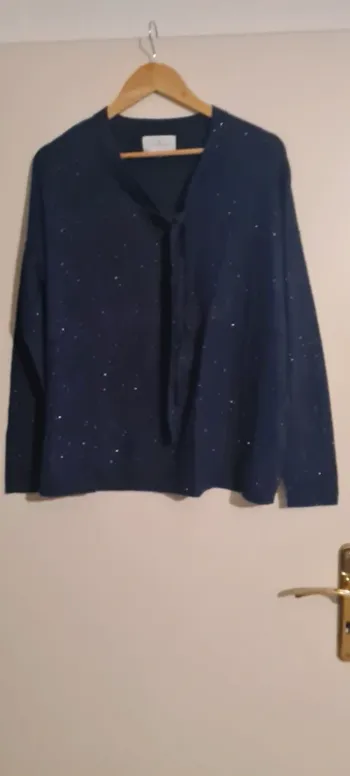 Pull bleu paillettes Sud Express