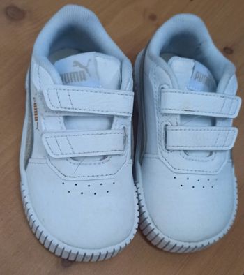 Puma taille 21
