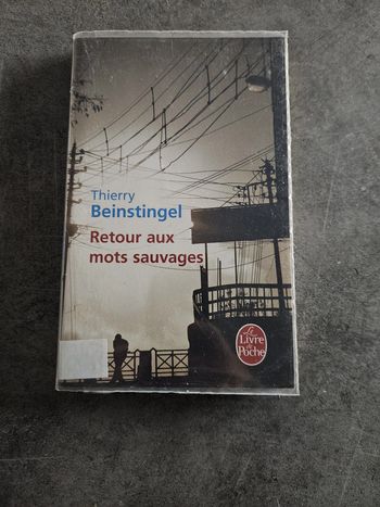 Livre roman de société "Retour aux mots sauvages" - Thierry Beinstingel