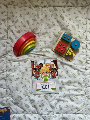 livre je suis en CE1 la photo de classe numéro 3