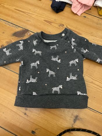 Pull zèbre, trois mois, 62 cm