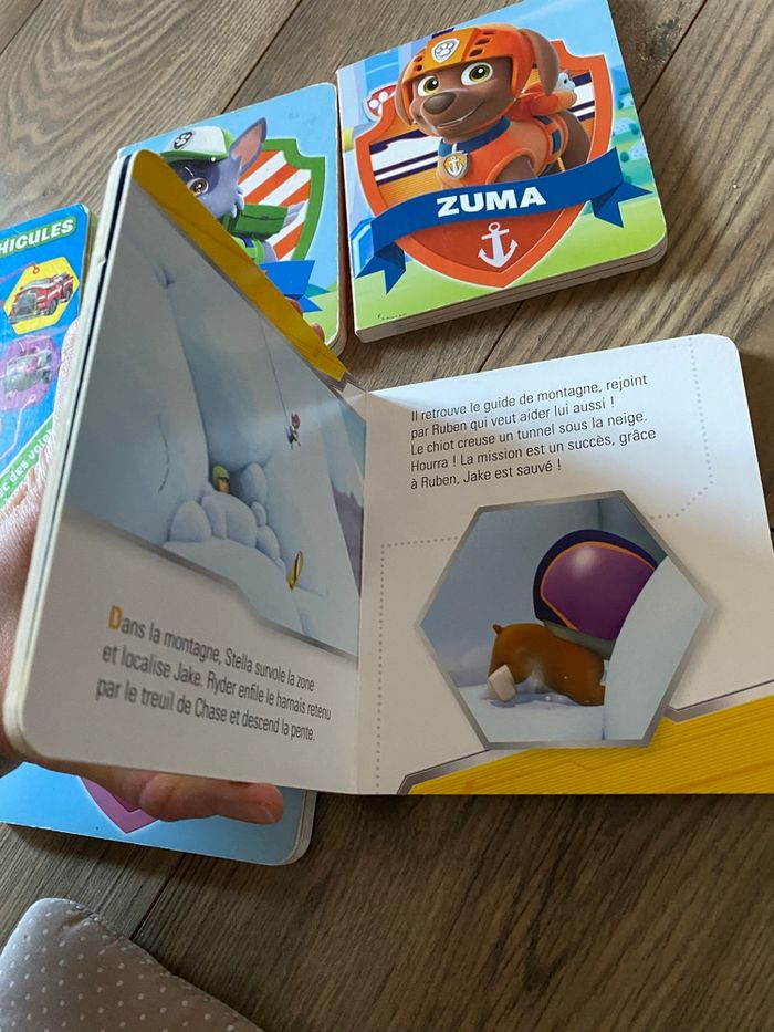 Lot 5 livres pat patrouille - photo numéro 5