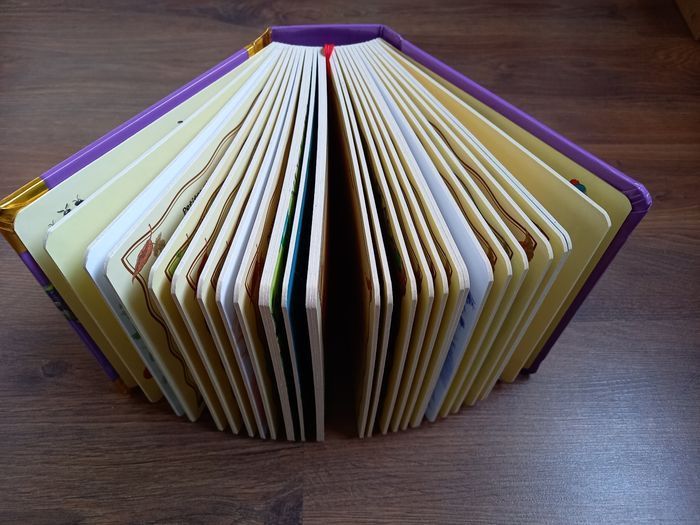 Petites histoires des quatre saisons - photo numéro 7