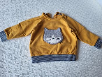 Pull petit bateau