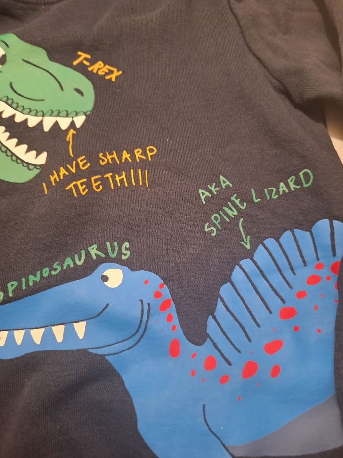 pull dinosaure 8 ans - photo numéro 3