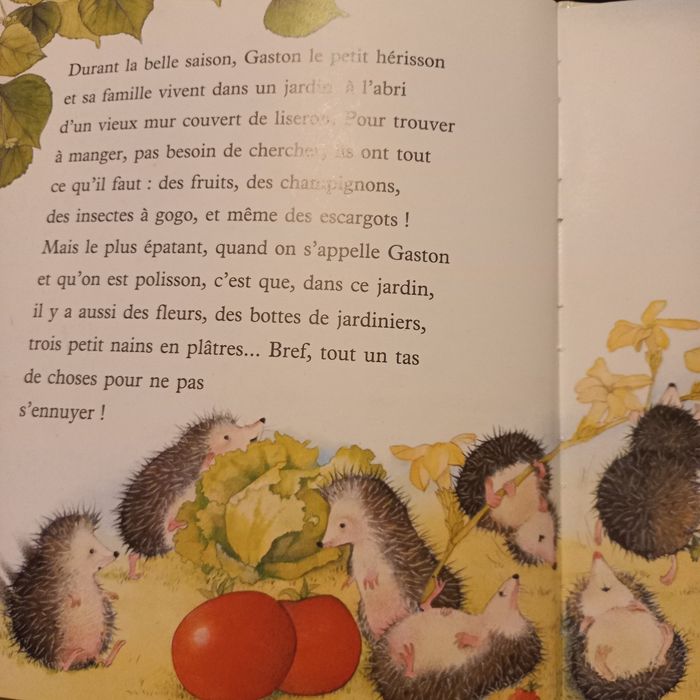 Livre Hérisson, polisson. - photo numéro 2