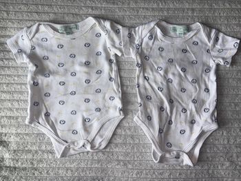 Lot 2 body