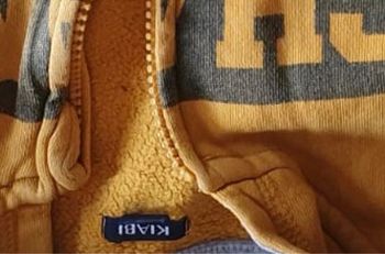 Sweat-shirt à capuche garçon