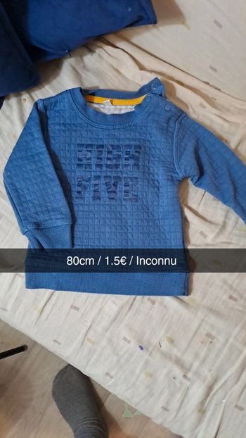Pull bleu molletonné
