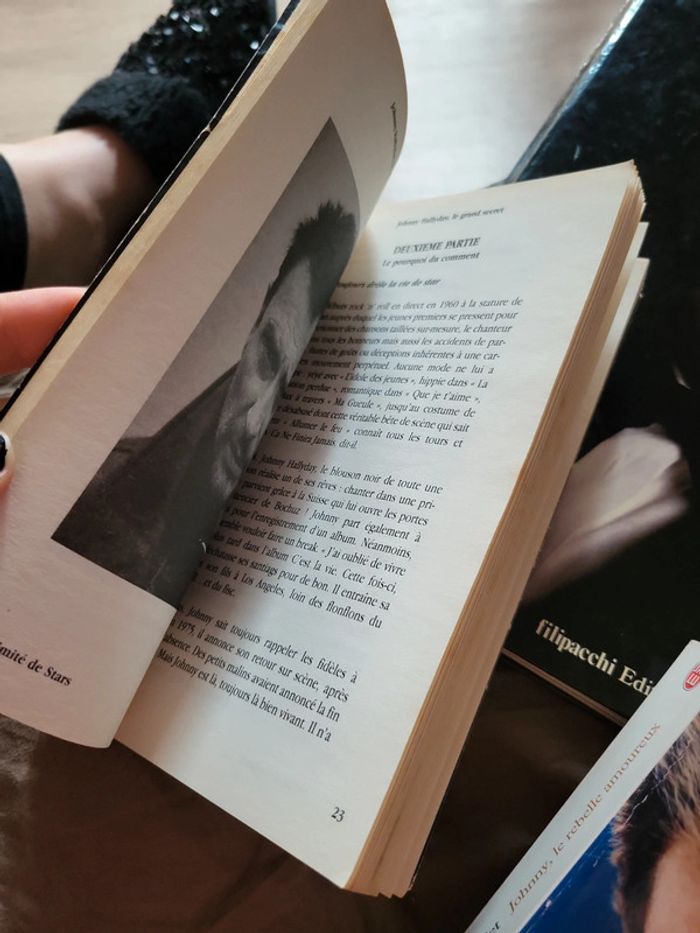Lot 3 livres johnny hallyday - photo numéro 4