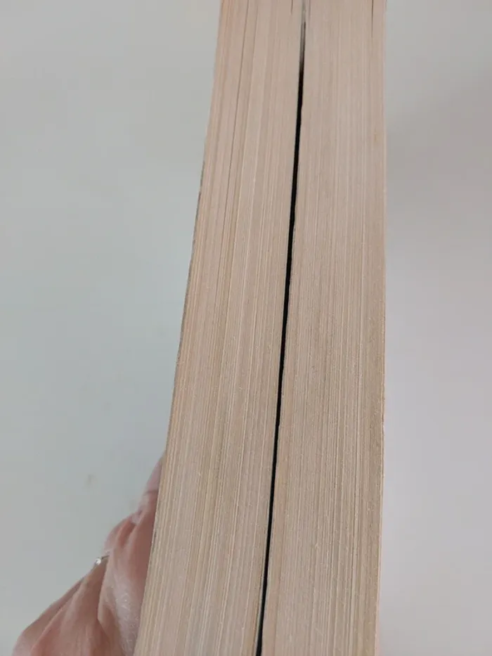 Lot de 2 livres New romance - photo numéro 3