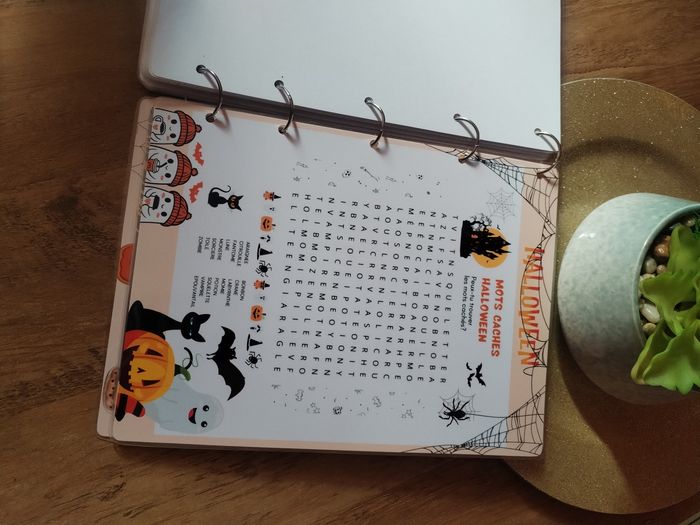 Livre d'activités Halloween - photo numéro 6