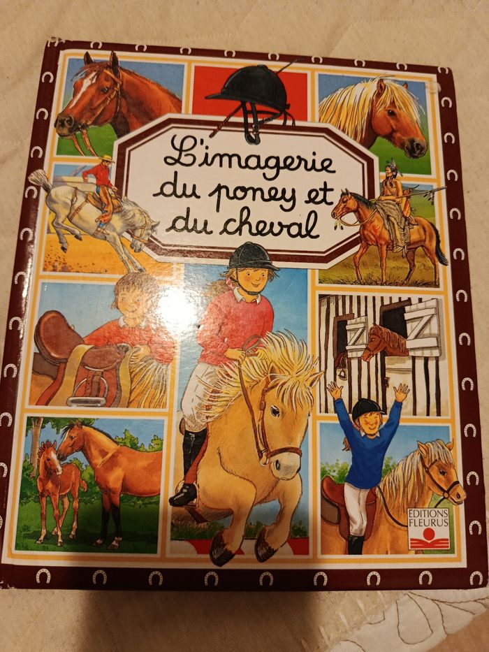 L'imagerie du poney et du cheval