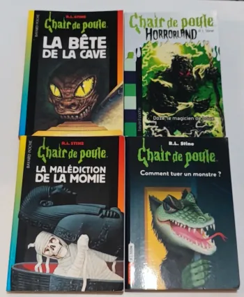 Lot 4 livres chair de poule