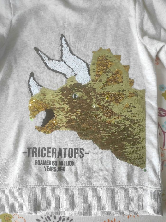 Sweat dinausore garçon à sequins magiques 10 ans h&m - photo numéro 4