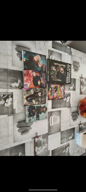 Lot manga