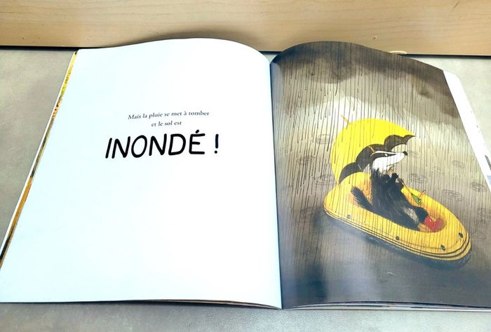 🌺 Livre (école des loisirs) : Le grand ménage - photo numéro 4