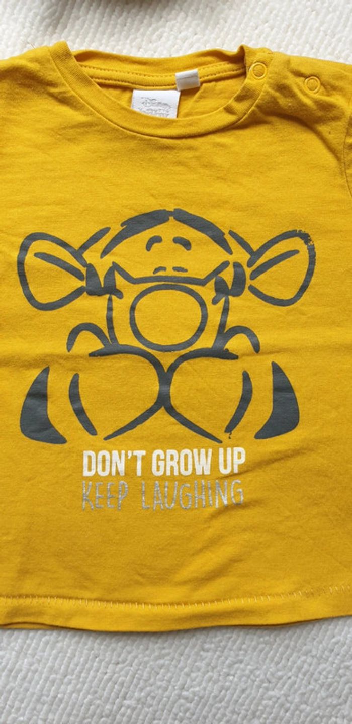 T-shirt tigrou 9 mois - photo numéro 2