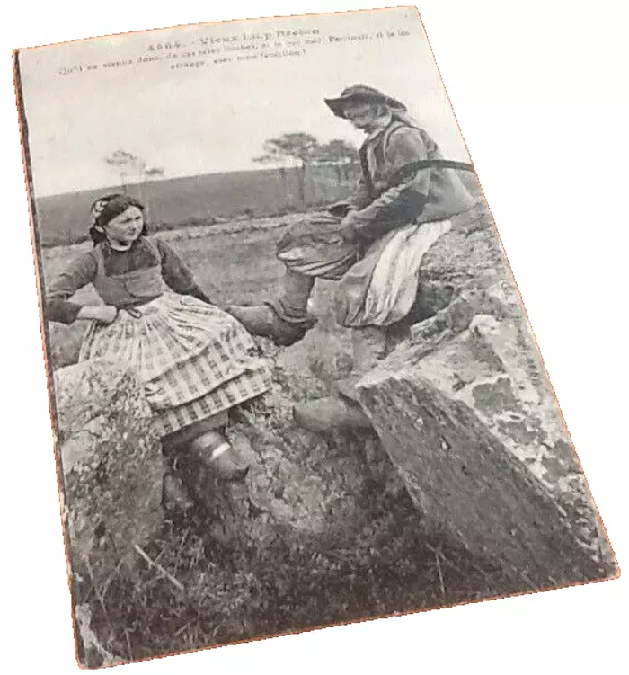 Carte postale ancienne Bretagne Vieux Loup Breton N°4584