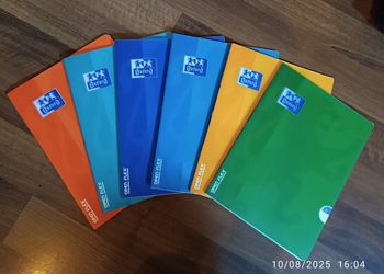 Lot de 6 cahiers Oxford Open Flex - 24x32 - 96 pages - grands carreaux