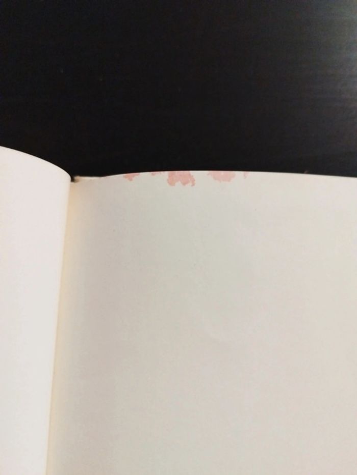 Rare Livre Davy Crockett - photo numéro 15