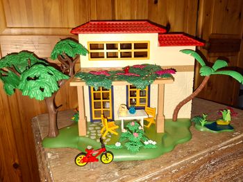 Playmobil maison de campagne
