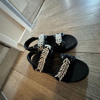 Nu Pied
