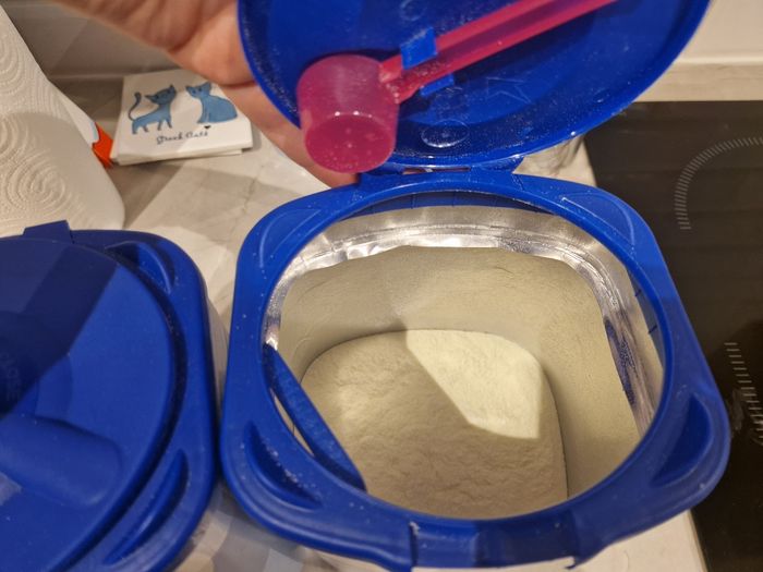 Gallia caslisma 1 - photo numéro 3