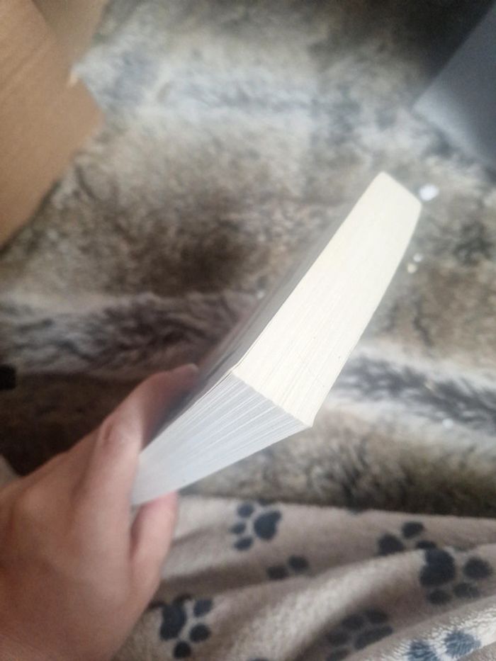 Livre palemon édition - photo numéro 6