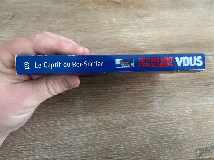Le captif du roi sorcier un livre dont vous êtes le héros - photo numéro 3