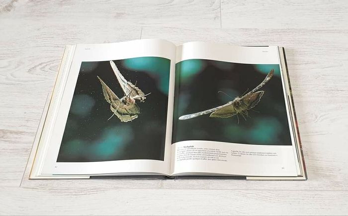 Livre Pris sur le vif - photo numéro 3