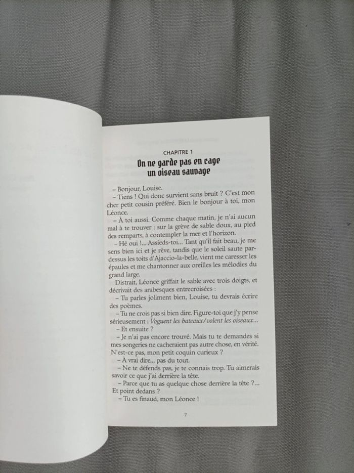Livre pour enfants " la piratesse" neuf - photo numéro 4