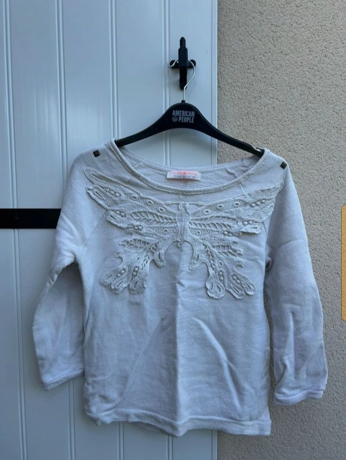Pull papillon - photo numéro 2