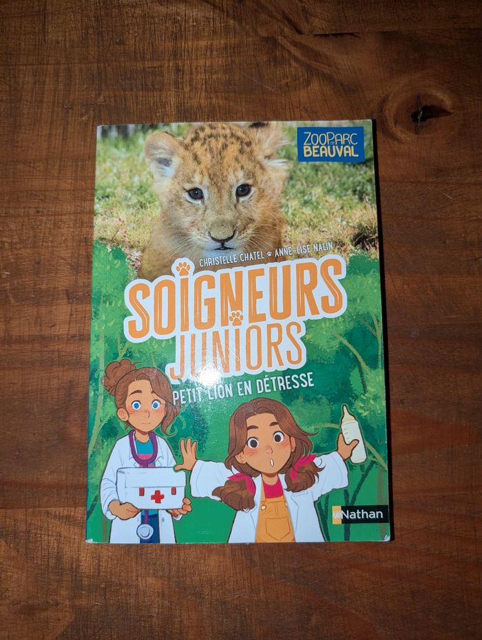 Soigneurs Juniors - Tome 4 Petit Lion en détresse - photo numéro 8