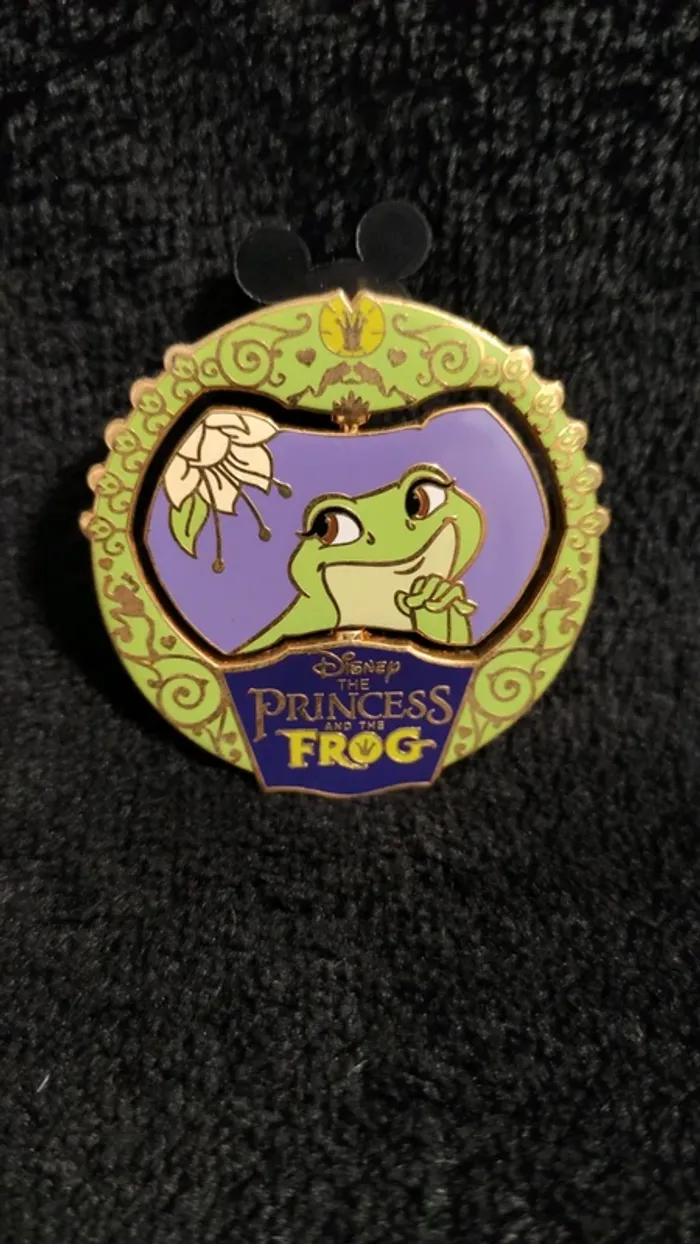Lot pin's Disney starter pack plus un la princesse et la grenouille - photo numéro 7