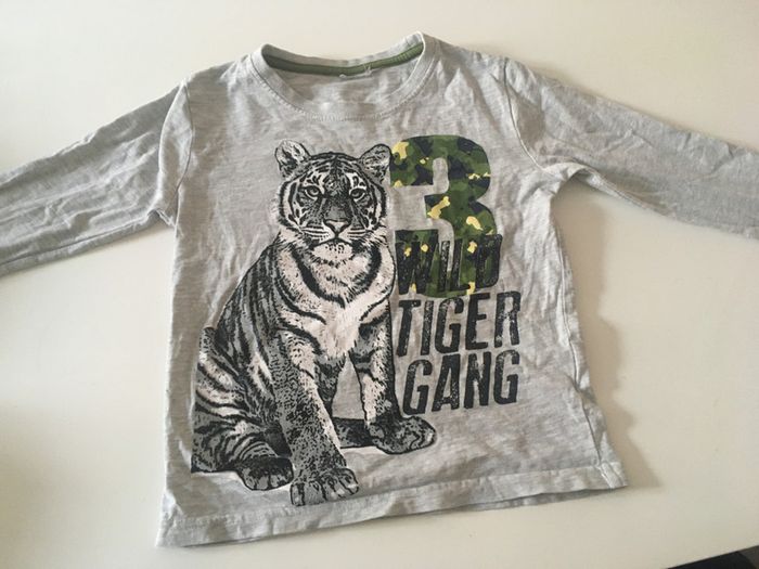 Manches longues gris avec tigres  6 ans