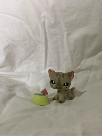 lps chat européen