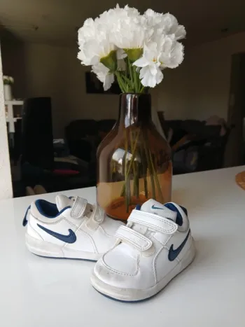 Basket Nike