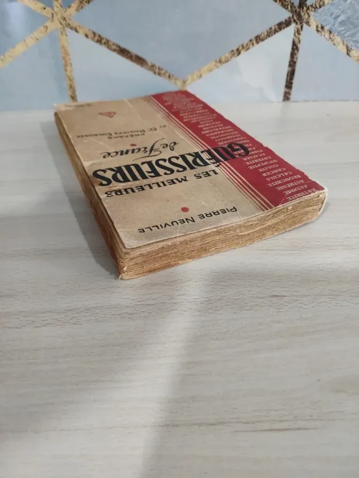 Livre les meilleurs guérisseurs France Neuville - photo numéro 4