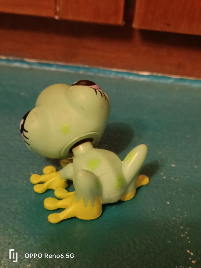 LPs grenouille 🐸 - photo numéro 2