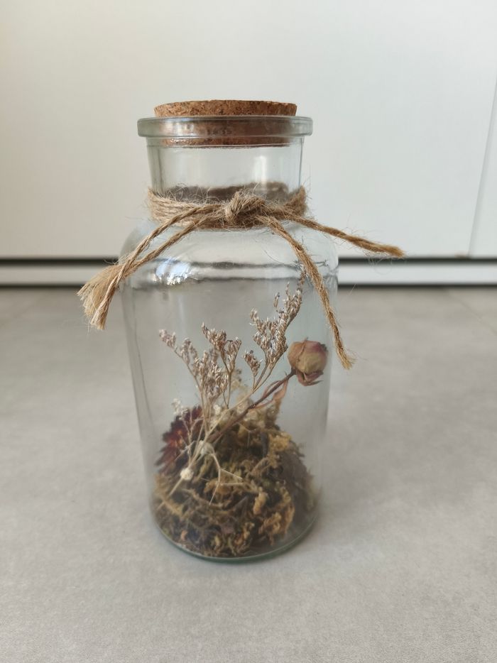 Fleurs séchées sous verre